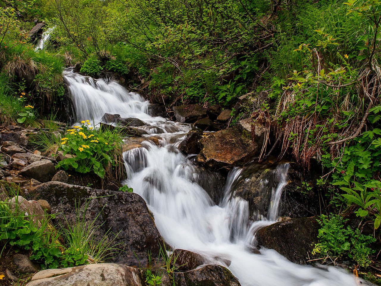 Дев'ять прикарпатських водоспадів потрапили до списку ТОП-водограїв України: фоторепортаж