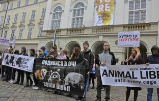 У Львові відбулась ще одна акція на захист тварин