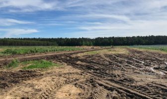 Компанія з Львівщини будує один із найбільших фруктових заводів у Європі
