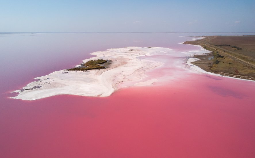 Геніченське рожеве солоне озеро, Херсонська область, Україна