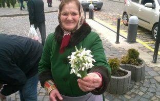 5 причин чому купувати в бабці підсніжники на 8 березня – погана ідея