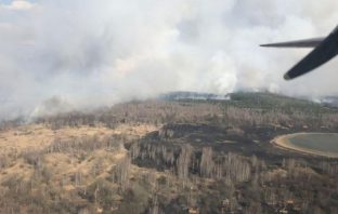 Поліція встановила одного з паліїв лісу у Чорнобильській зоні