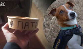 У Львові за 15 тисяч гривень продають миску, із якої пив пес Патрон