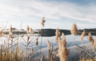 На Львівщині після купання у ставку в чоловіка діагностували лептоспіроз