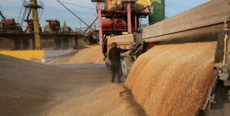 Польща підготувала транзитні коридори для експорту зерна з України