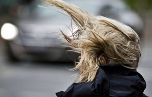 На завтра синоптики прогнозують пориви вітру до 20 м/с