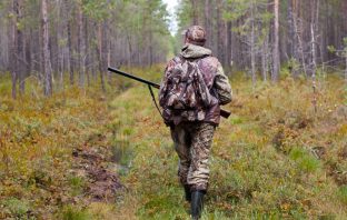 На Львівщині таки провели відстріл бродячих собак, котів та інших тварин