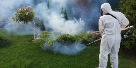 Львів’ян закликали три дні не відвідувати один з парків через обробку від кліщів